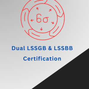 dual lssgb & lssbb online training in usa online